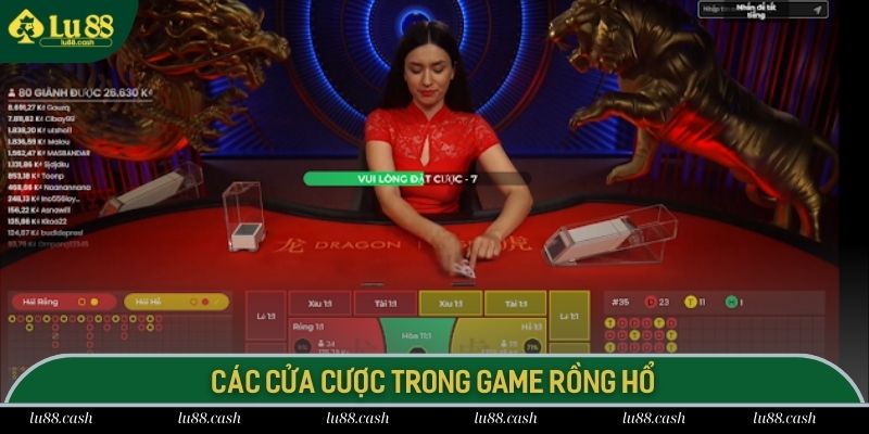 Rồng Hổ LU88 Những cửa cược thường gặp trong game bài Dragon Tiger cực hot